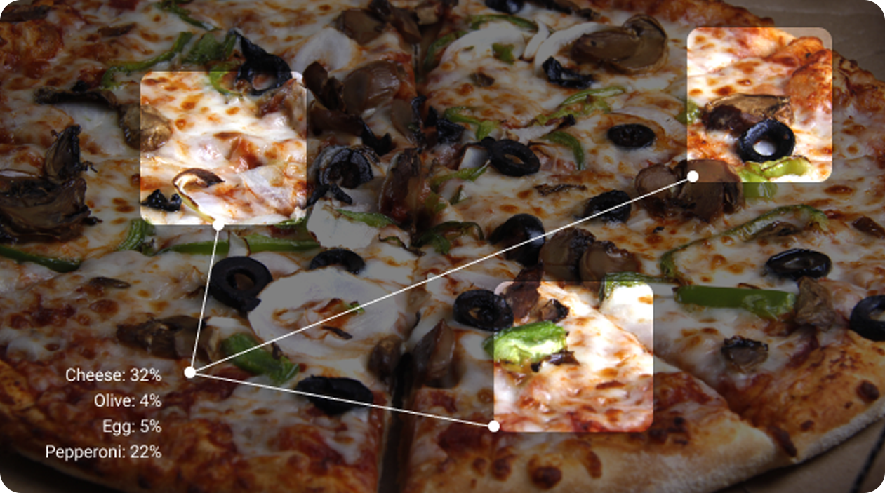 Pizza Topping Distribution and Appearance vision Inspection(pic2)