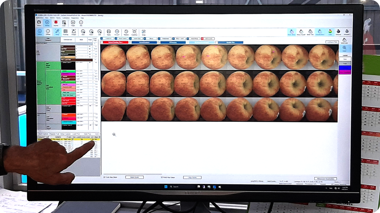 Automated Fruits & Vegetables Sorting and Defect Detection(pic2)