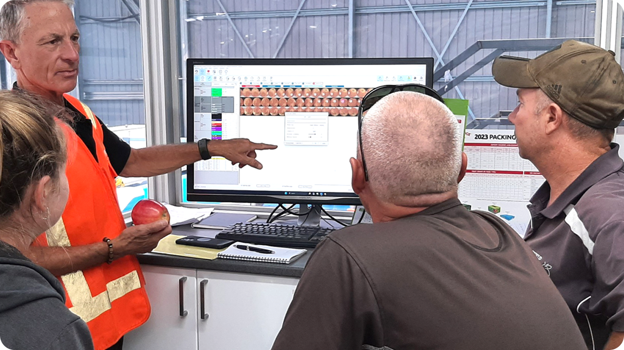 Automated Fruits & Vegetables Sorting and Defect Detection(pic3)