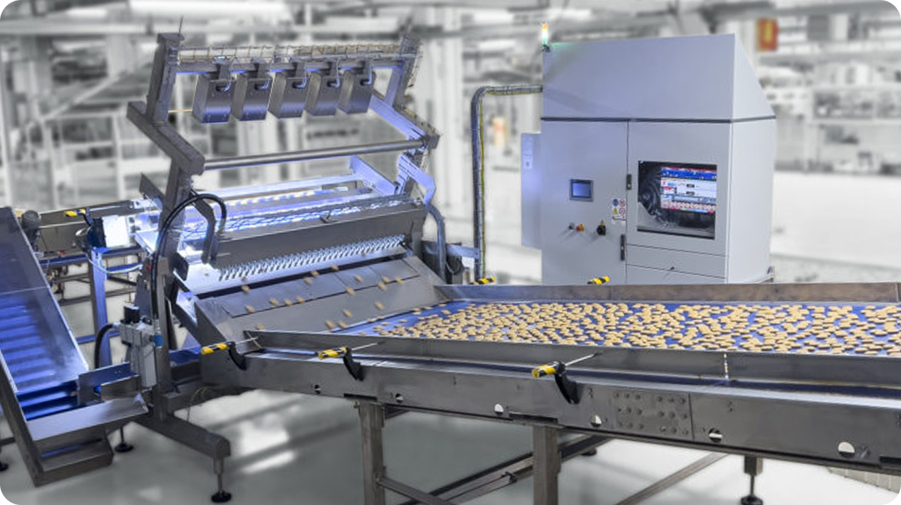 Baked Goods Appearance and Size Vision Inspection Systems(pic5)