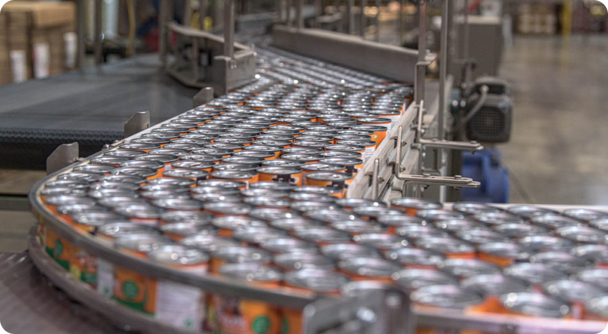 Fruit Canned Food Seal and Label Vision Inspection Systems(pic5)